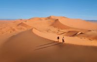 Walk On The Dune - Irmgard Crispin