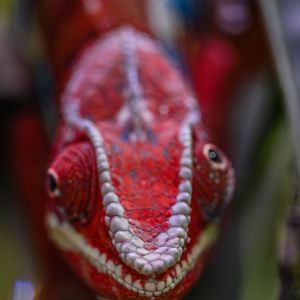 Terrazoo Rheinberg 13